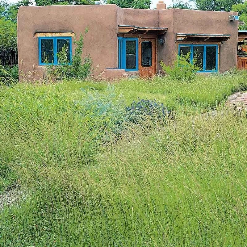 High Mountain Grass Seed Mix - Image 2